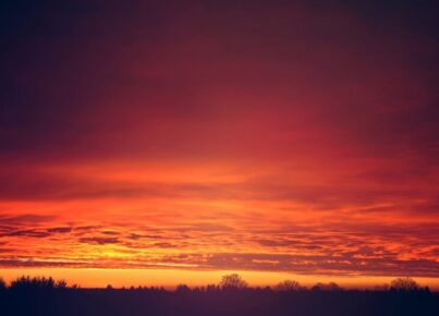 red-sunset-clouds-trees